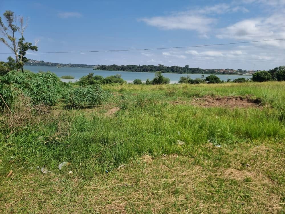 Garuga Lakefront